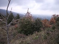 nte Ilice-20110120 062